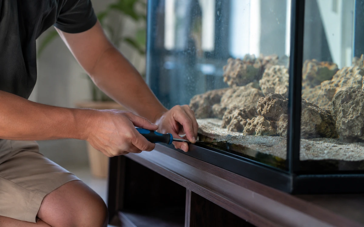 Aquarium installation contractor